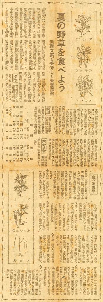 新聞記事