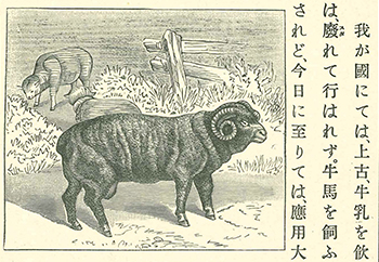 「女子用 動物教科書」