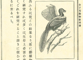 「女子用 動物教科書」