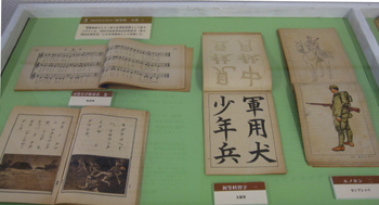 展示
