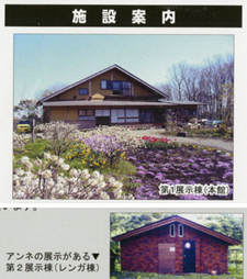 アウシュヴィッツ平和博物館
