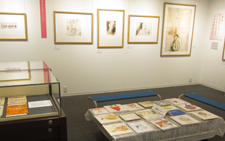 展示
