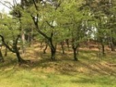加藤さんと堀田さん