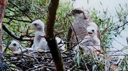 展覧会場の様子1