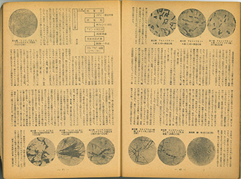 科学朝日 1943年5月号